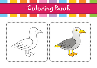  Charming Yellow-legged Gull Bird Design