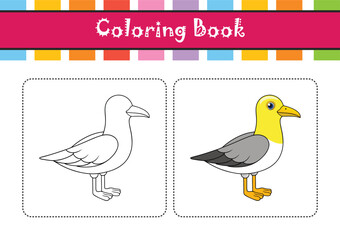  Elegant Yellow-legged Gull Bird Vector