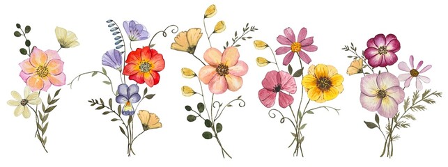Collection with pressed dry flower bouquets isolated on white background. Watercolor illustration