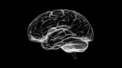 Human Brain: Neurological Structure Visualization