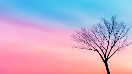 Poster Bare tree silhouette against vibrant pink and blue sunset sky, inspiring tranquility, nature's serenity, mindfulness atmosphere, dusk magic background