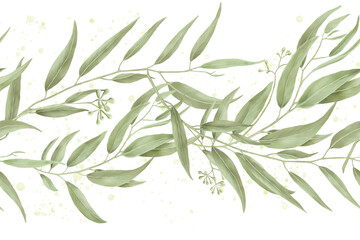 Graceful willow and eucalyptus branches, seamless horizontal border. Digital watercolor illustration. Bamboo branches and an olive tree on a white background. Botanical illustration