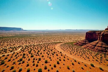 Aerial view of vast Texas desert landscape under clear blue sky,  desolate,  desert