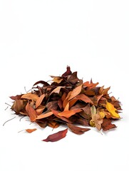 Obraz premium Autumn leaves forming a pile on a white background