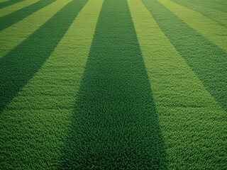 Green grass seamless texture on striped sport field. Astro turf pattern. Carpet or lawn