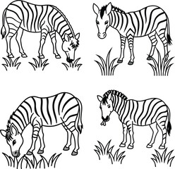 Fototapeta premium Zebra Vector Art Illustration Set in Black and White Hand Drawn Animal Clipart