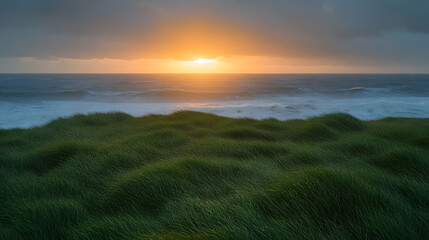 Obraz premium Sunset over Ocean: The setting sun casts a golden glow over the vast ocean, painting the sky with hues of orange and gold, while the foreground showcases lush green grass.