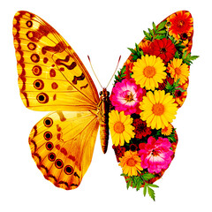 Butterfly Wing with Yellow and Orange Pattern Transforming into Colorful Floral Arrangement 