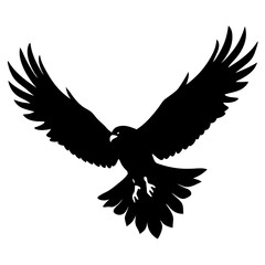 Fototapeta premium A vector silhouette of a hawk diving down with its claws extended, 