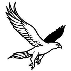 Obraz premium A vector silhouette of a hawk diving down with its claws extended, 