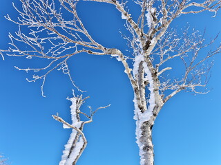 Eastern Hokkaido: Snow trekking on the outer rim of Lake Mashu in winter