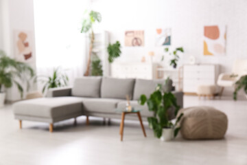 Blurred view of light living room with grey sofa and plants