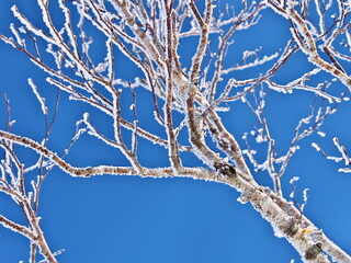 Eastern Hokkaido: Snow trekking on the outer rim of Lake Mashu in winter