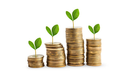A stack of coins with a green plant growing out of them