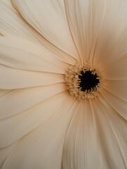 Close-up of a single flower with a black center. the petals of the flower are a light beige color and are arranged in a radial pattern, creating a sense of depth and dimension.