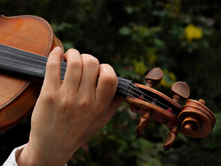 Street musician`s hand - holding and playing violin in the park