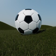 Obraz premium soccer ball on grass
