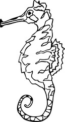 Sea shell trendy sketch hand drawn doodle, crayon brash contemporary. Sea life object, textured abstract.