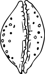 Sea shell trendy sketch hand drawn doodle, crayon brash contemporary. Sea life object, textured abstract.