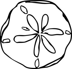 Sea shell trendy sketch hand drawn doodle, crayon brash contemporary. Sea life object, textured abstract.