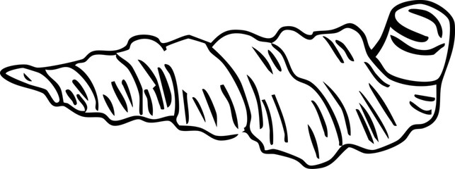 Sea shell trendy sketch hand drawn doodle, crayon brash contemporary. Sea life object, textured abstract.