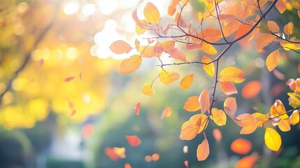 Obraz premium Vibrant autumn leaves in a serene park, capturing nature's quiet beauty and seasonal transition.