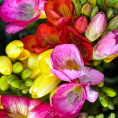 Top view close-up of a bouquet of flowers, pink, yellow, and red colors with some green buds and...