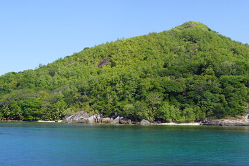 The mangrove swamps on Curieuse Island in the Seychelles, Africa