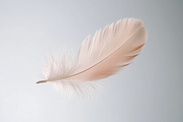 Close-up of a delicate feather elegantly floating in soft light, showcasing intricate details and textures in 8K resolution