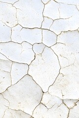 Obraz premium Abstract Cracked White Texture Background Dry Surface Wall Pattern