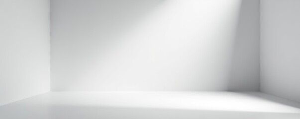 Obraz premium Empty studio background with light and shadow, white and grey 3D gradient for photography and presentation items Studio room, abstract vector illustration, photography, gradient