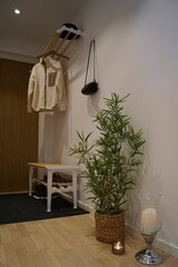 Interior design of a modern Scandinavian hallway