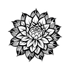 lotus flower isolated on white background