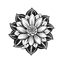 lotus flower isolated on white background