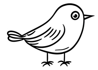 Fototapeta premium PNG Bird drawing sketch doodle.