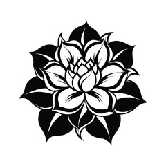 black and white flowers