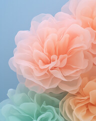 Fototapeta premium A hopeful bloom of coral and peach tones rising from a quiet misty background in soft focus
