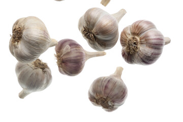 Flying fresh garlic on white background