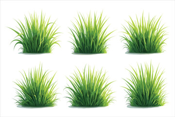 Grass Green Nature Plants Hand Drawing Element Clipart Illustration