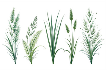Grass Green Nature Plants Hand Drawing Element Clipart Illustration