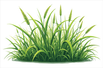 Grass Green Nature Plants Hand Drawing Element Clipart Illustration
