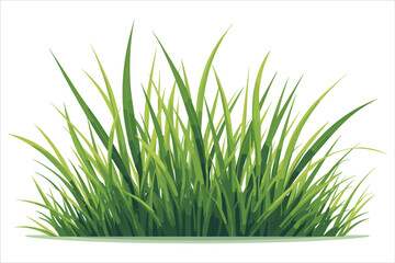 Grass Green Nature Plants Hand Drawing Element Clipart Illustration