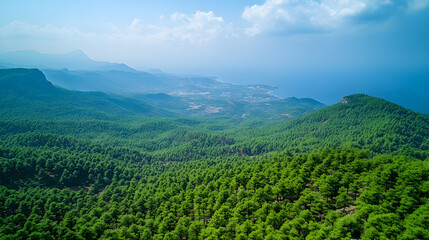 Obraz premium Aerial view captures lush green forest hills meeting the calm blue sea under a bright sky creating a scenic and tranqui