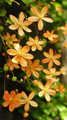 Fototapeta premium Vibrant Orange Flowers Blooming in Nature