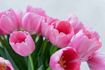 Mothers day, Valentines Day, Birthday celebration concept. Greeting card. Beautiful Bouquet of pink delicate tulips. Copy space for text, top view. Spring background. March 8, International Womens Day