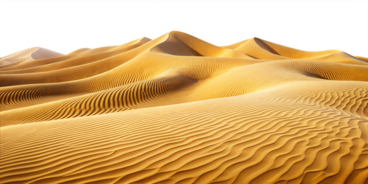 Sand dunes in the desert landscape isolated on transparent background.