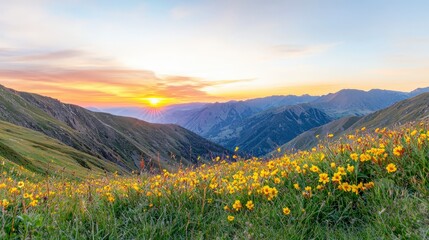 Obraz premium Majestic Sunrise over Wildflower Meadow and Mountain Peaks