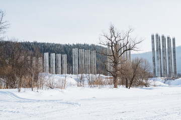 A beautiful snowy field covered in soft white snow, with tall trees standing proudly and majestic...