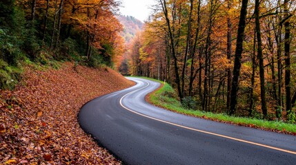 Fototapeta premium Scenic Autumn Road Winding Through Colorful Forest