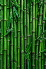 Obraz premium Vibrant Green Bamboo Grove, Natural Texture Background, Serene Forest, Spa Ambiance, Zen Concept